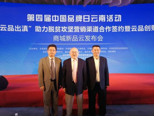 云品出滇 路在何方 大宗交易或成云南破局关键